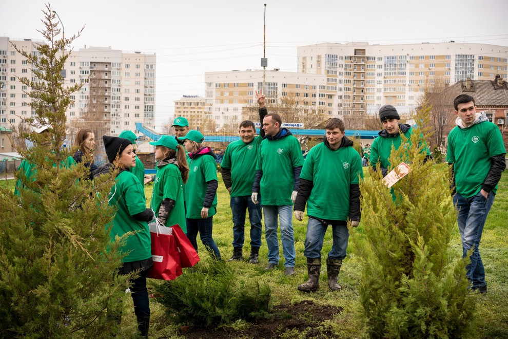 Акция "Посади дерево с Torex"