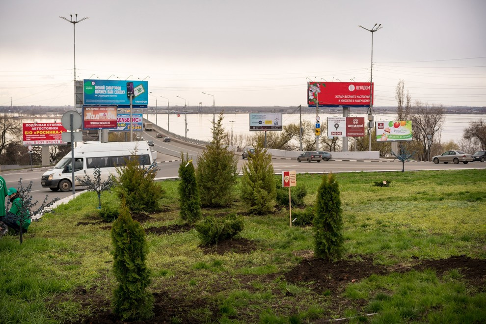 Акция "Посади дерево с Torex"