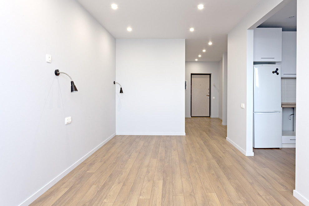 1-комнатная квартира в Скандинавском стиле