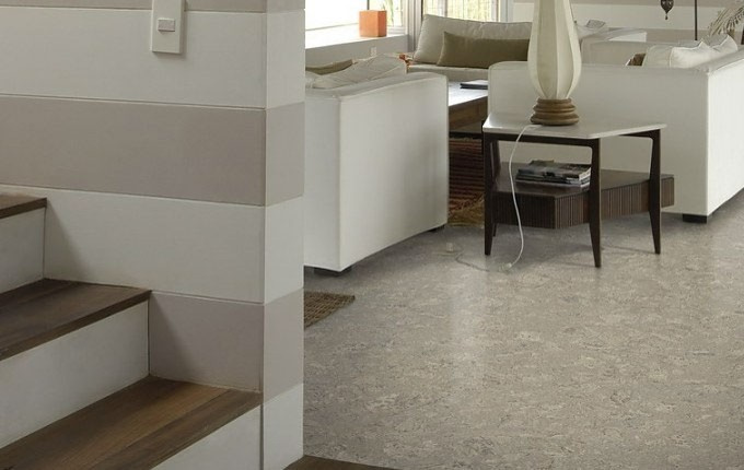 Новинки в нашем ассортименте