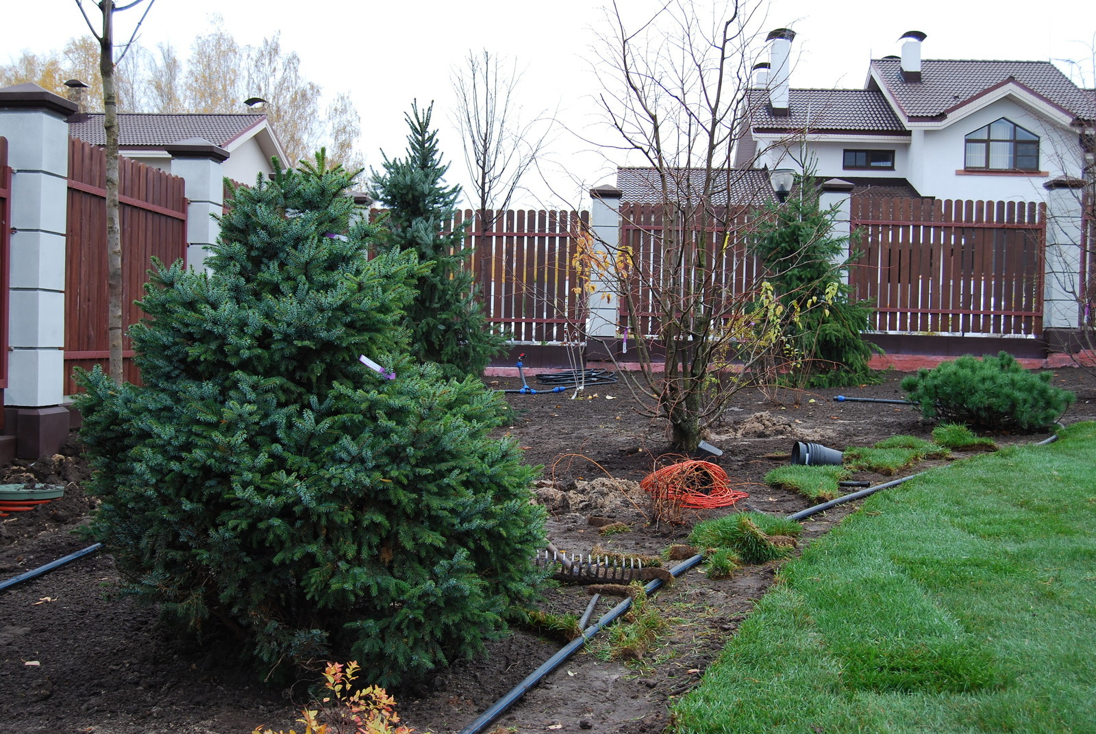 посадки крупных растений и укладка газона