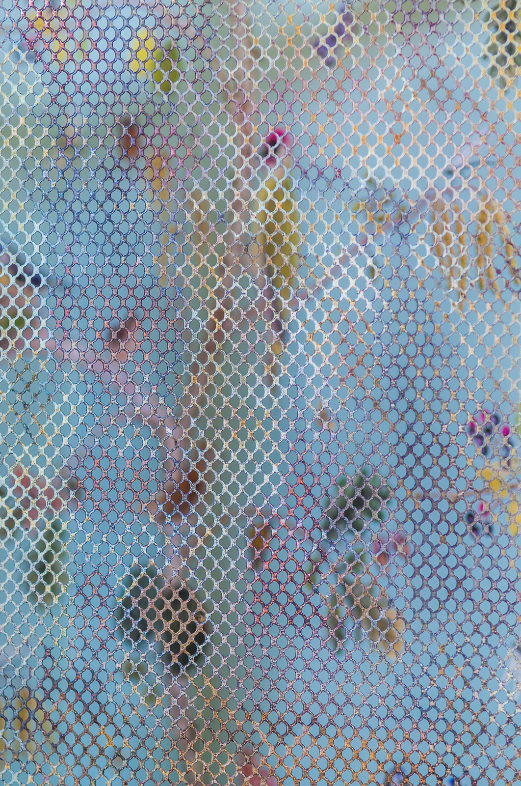 Проект для ТВ-Программы "Фазенда"