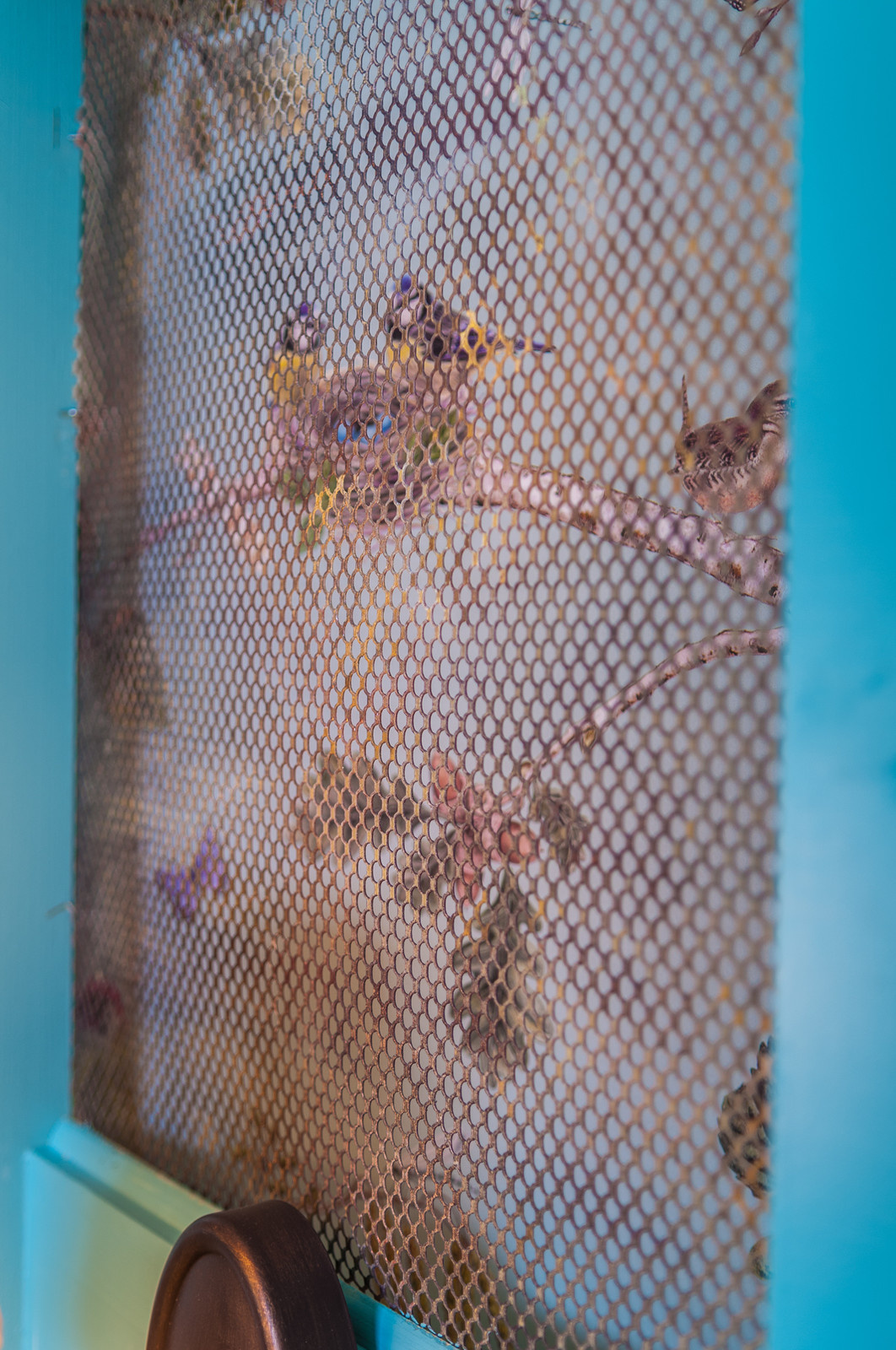 Проект для ТВ-Программы "Фазенда"