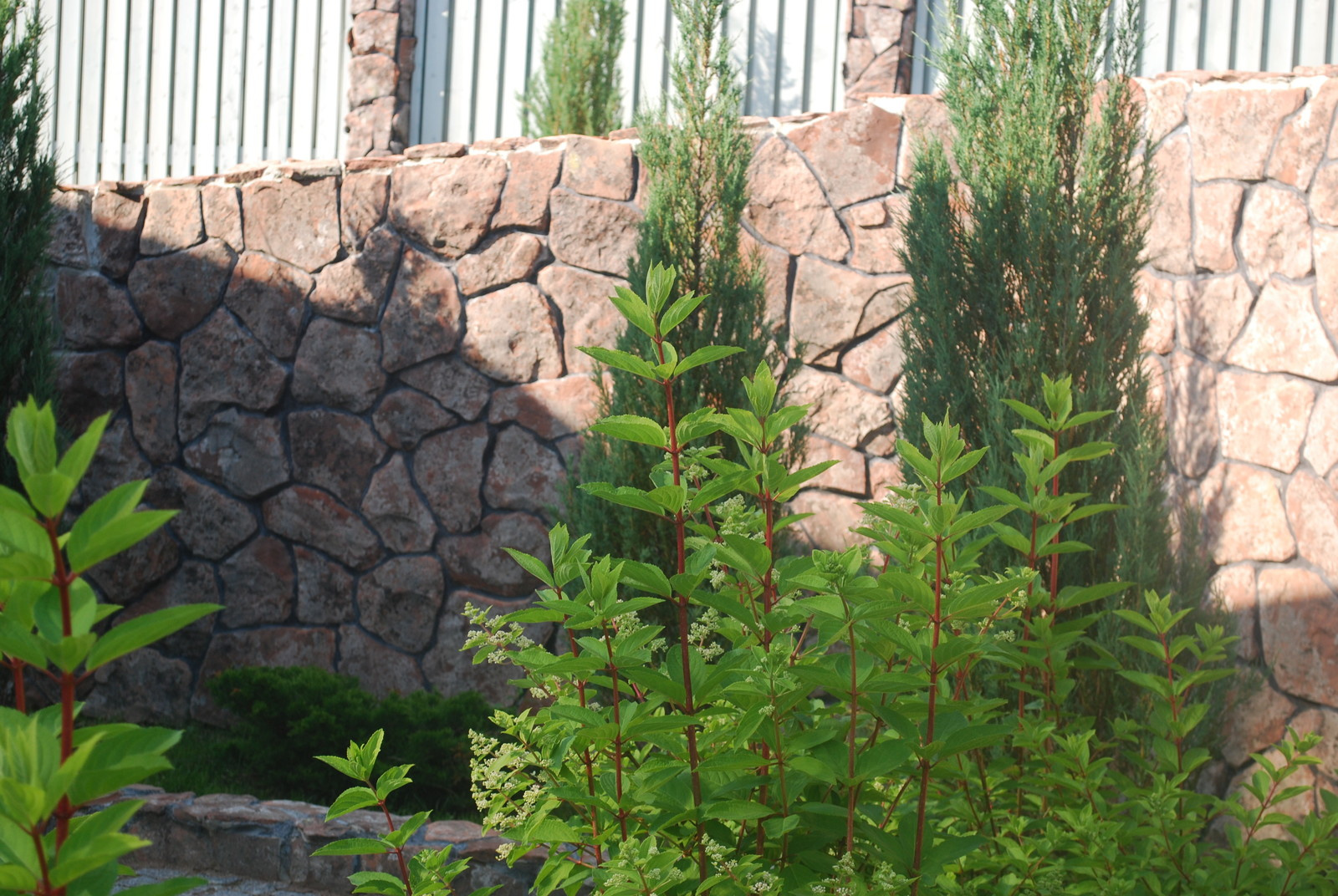 Поселок Золотые Пески