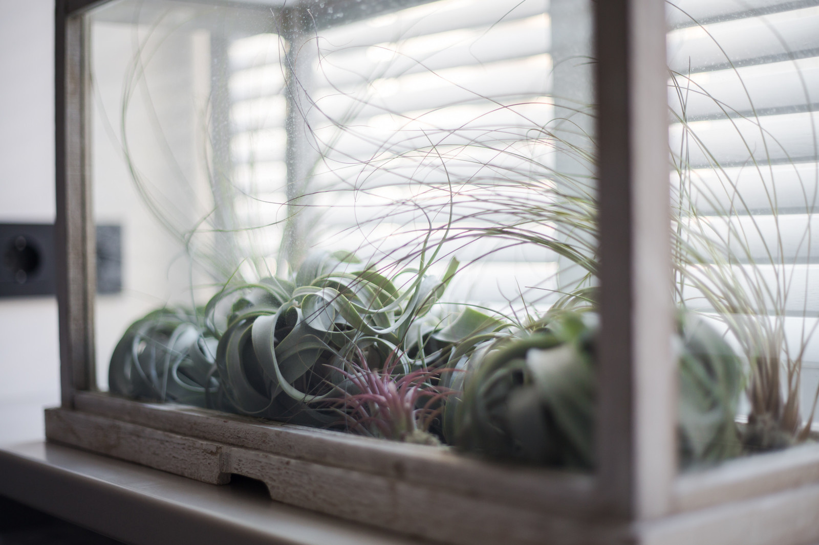 Квартира на Фонтанке