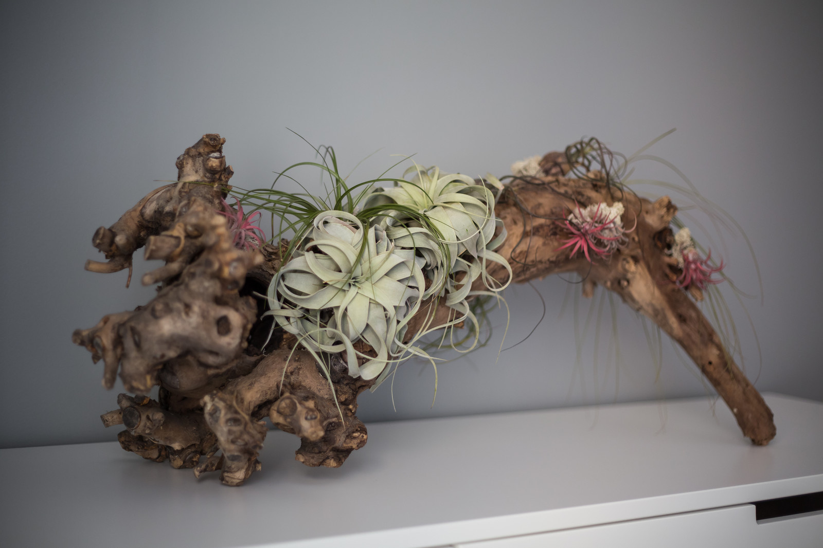 Квартира на Фонтанке