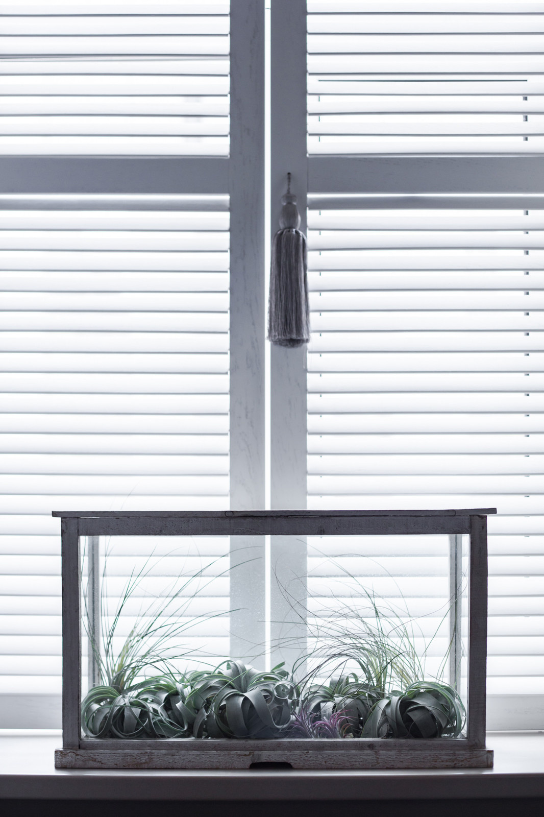 Квартира на Фонтанке