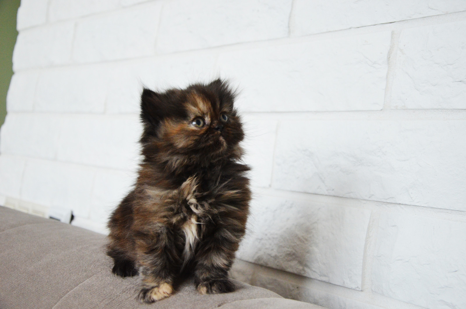 Современная классика