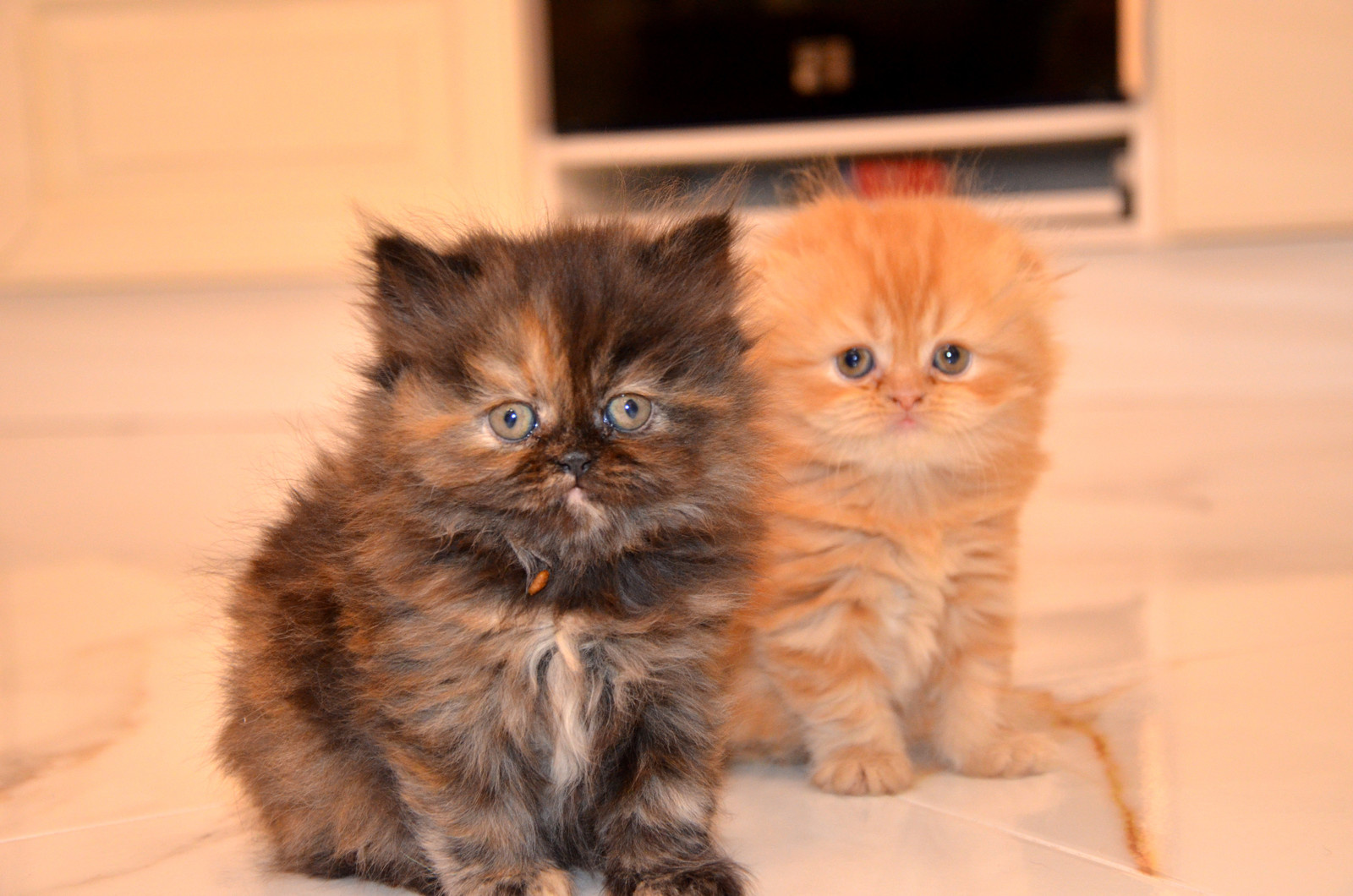 Современная классика