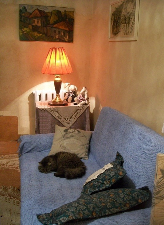 Строительство дома у пруда с лебедями