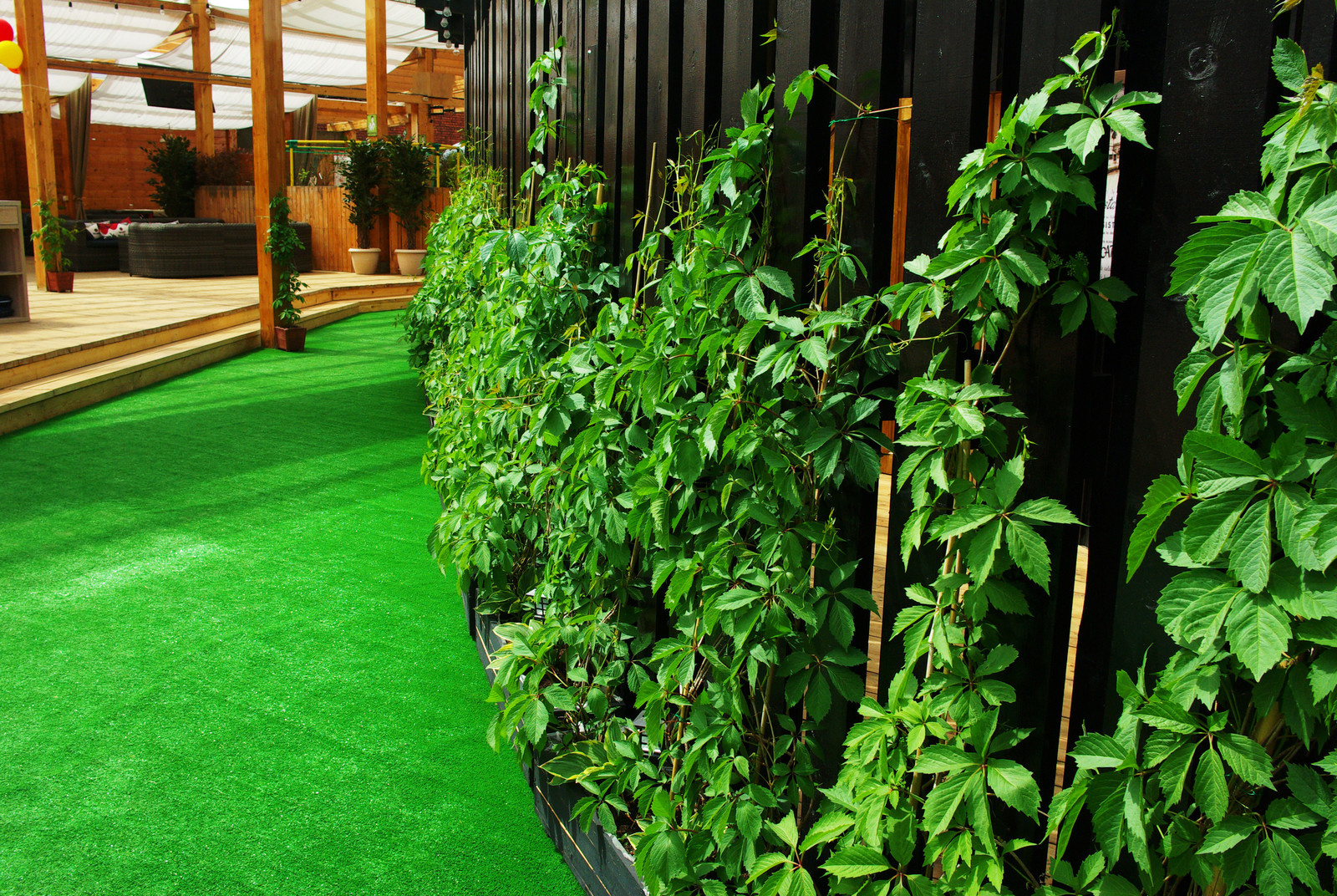 Летний сад, Москва, май 2017