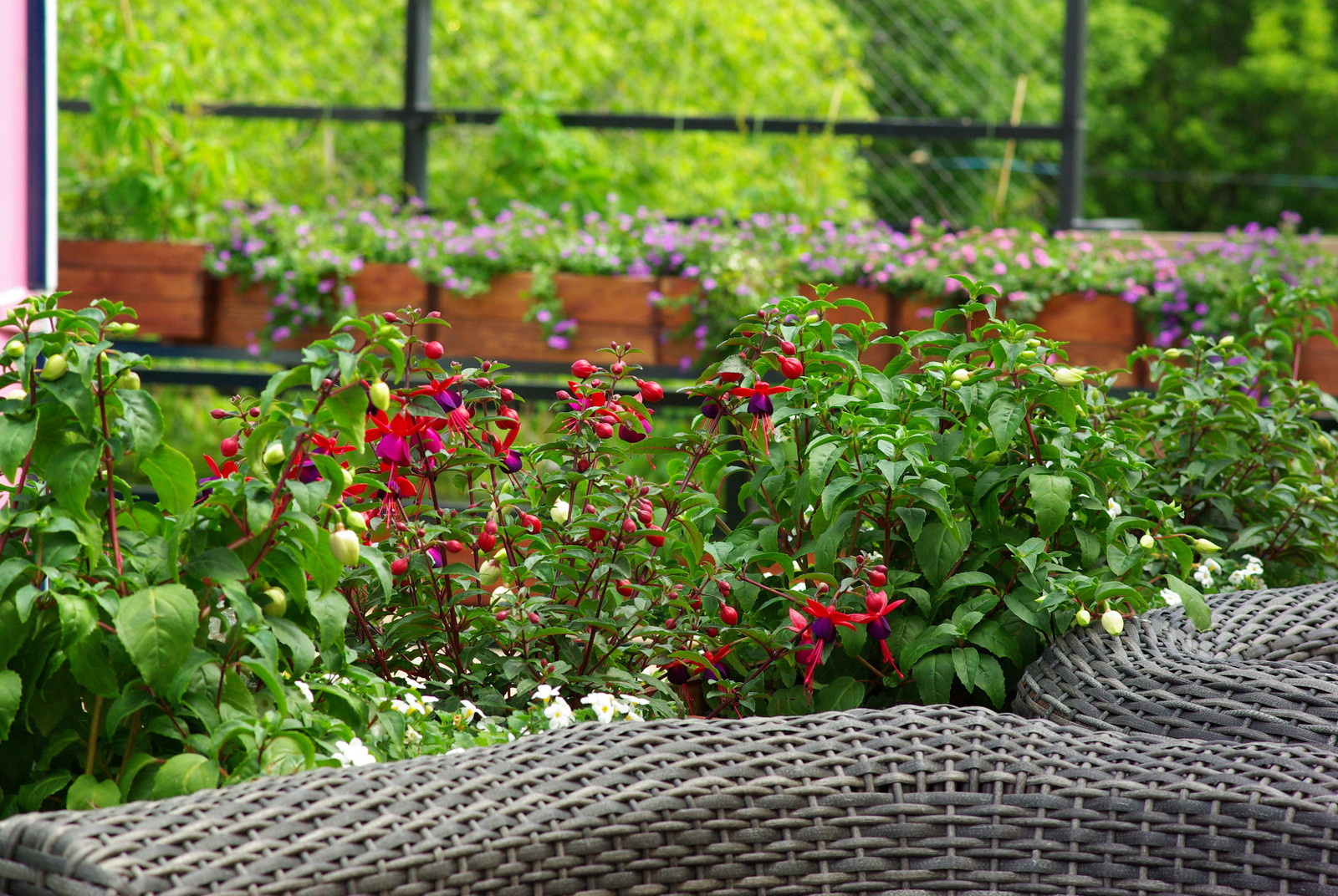 Летний сад, Москва, май 2017