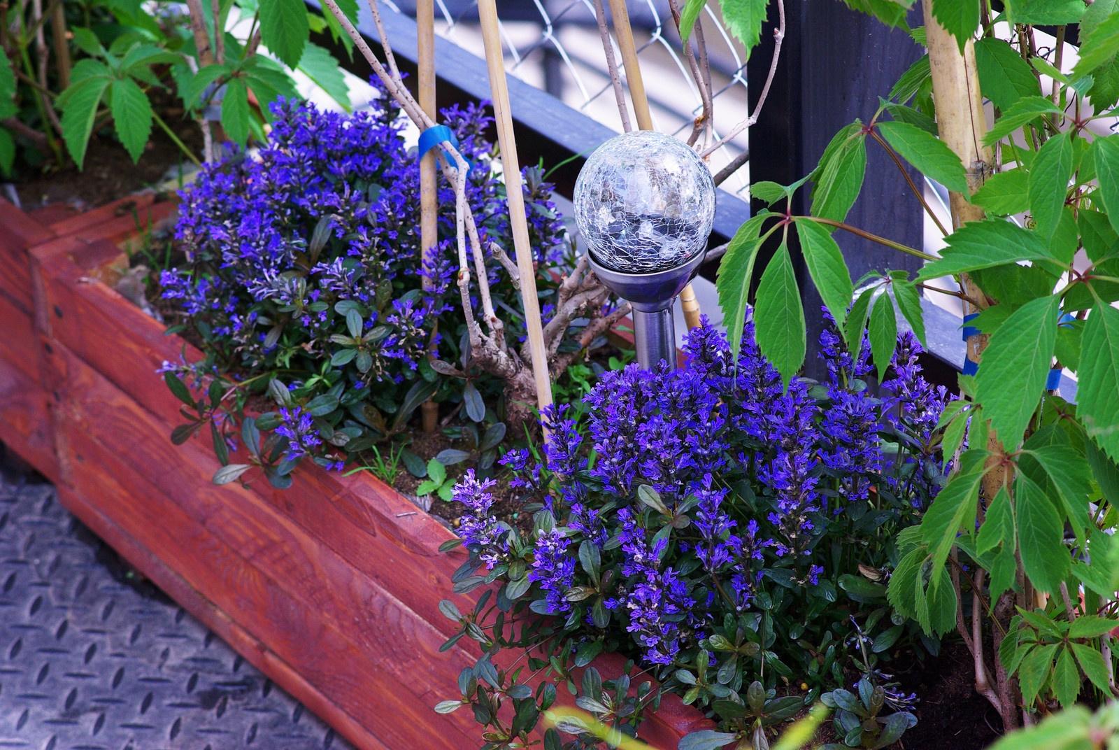 Летний сад, Москва, май 2017