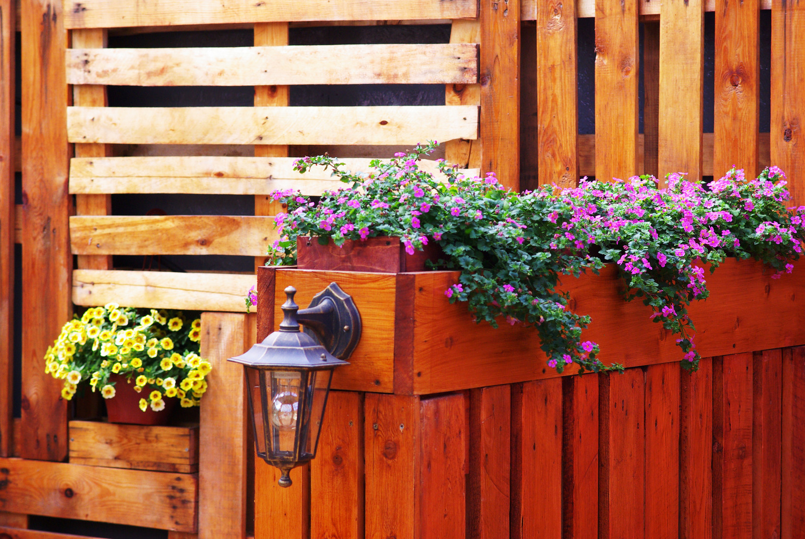 Летний сад, Москва, май 2017
