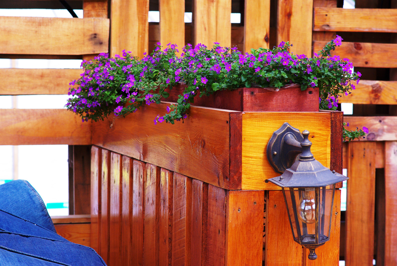 Летний сад, Москва, май 2017