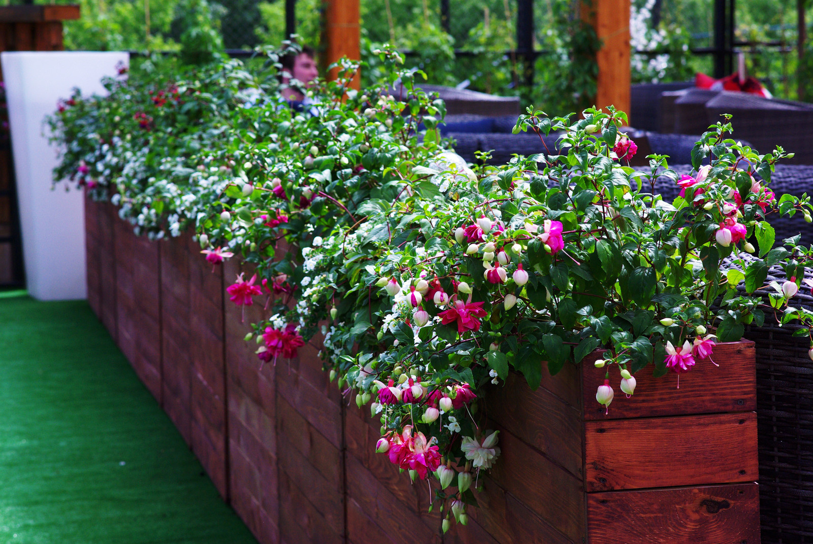 Летний сад, Москва, май 2017