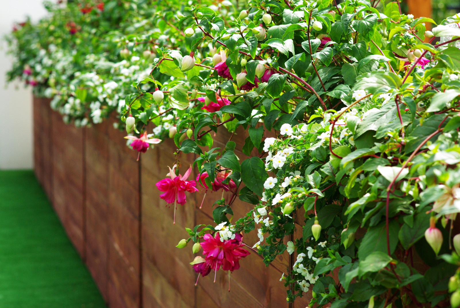 Летний сад, Москва, май 2017