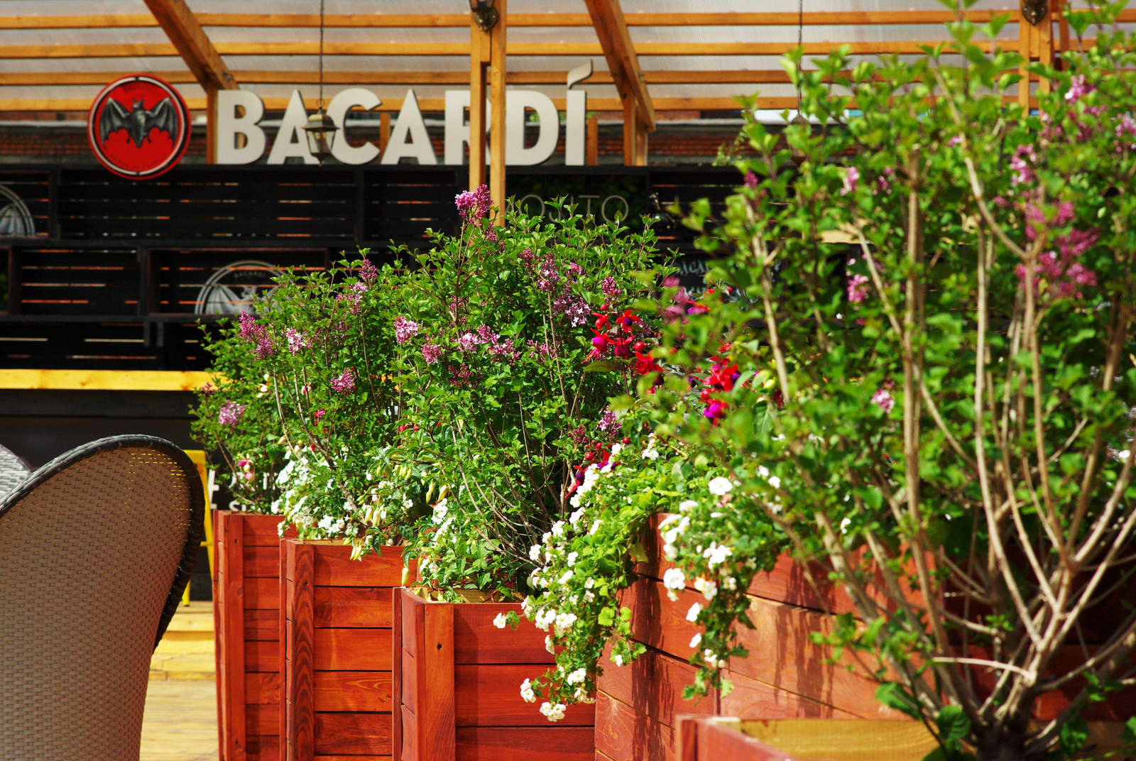 Летний сад, Москва, май 2017