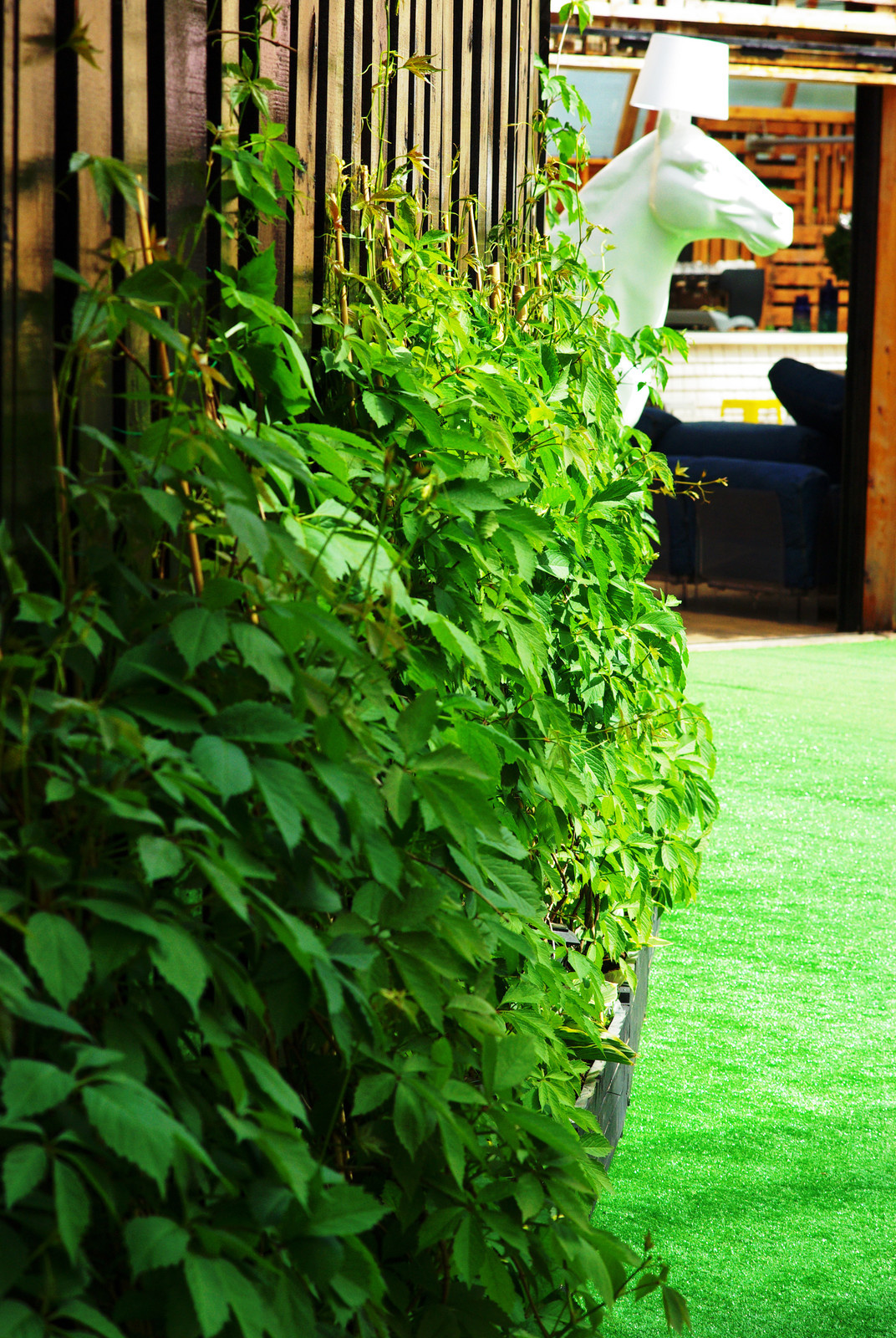 Летний сад, Москва, май 2017