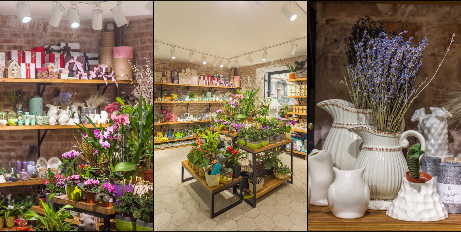 Обложка проекта: Jolly Bunch - flower shop