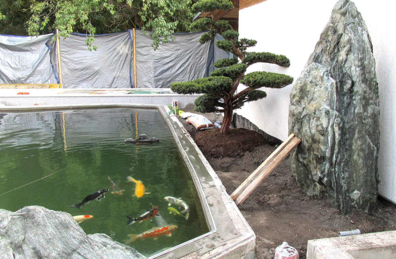 Обложка проекта: Examples of garden design in Asian style