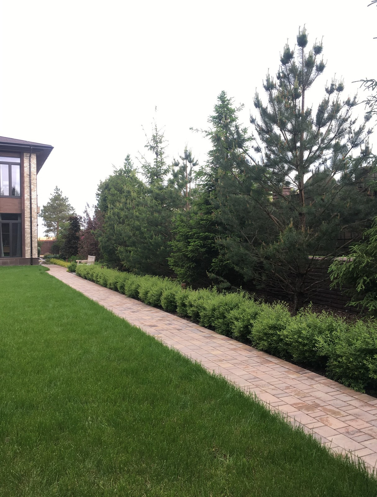 мужской ландшафт