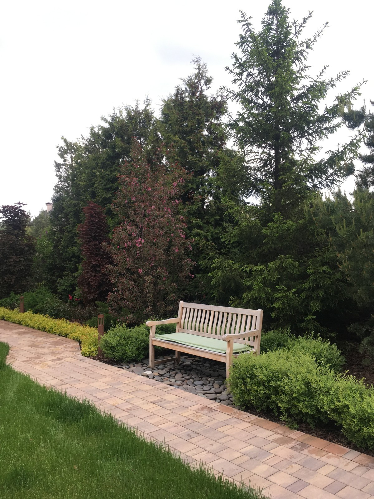 мужской ландшафт