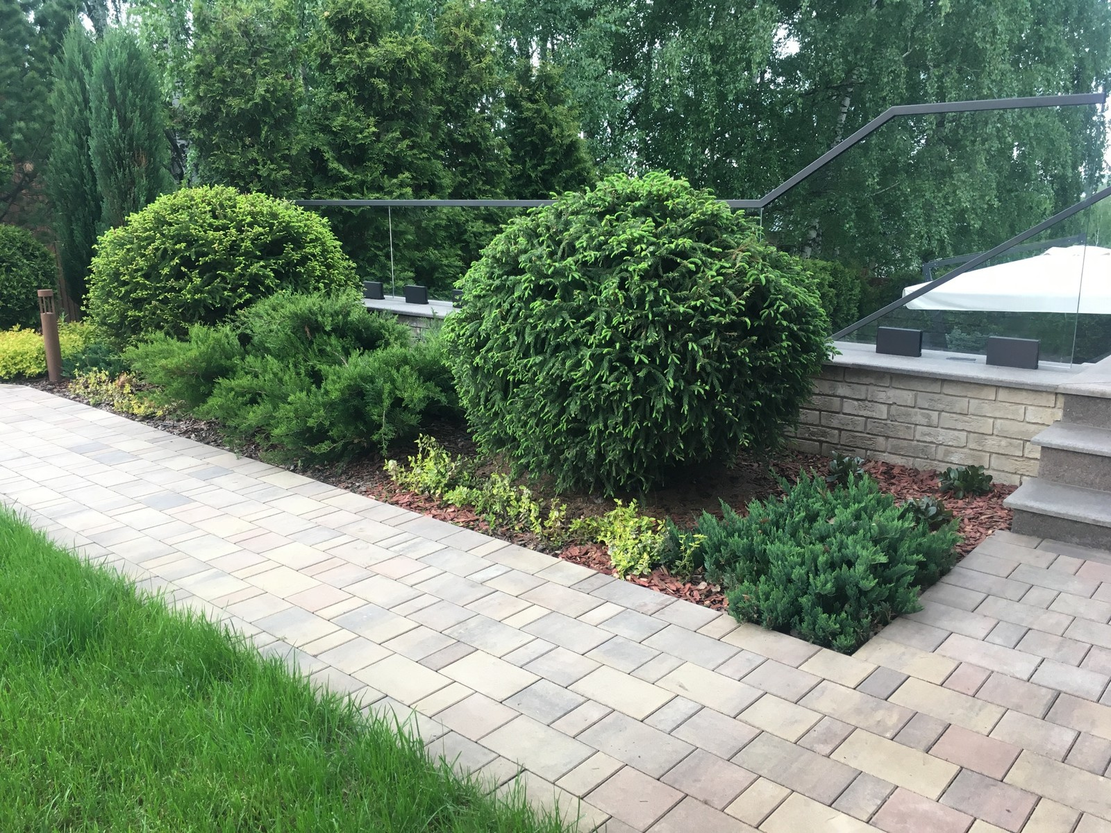 мужской ландшафт