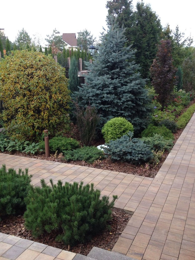 мужской ландшафт