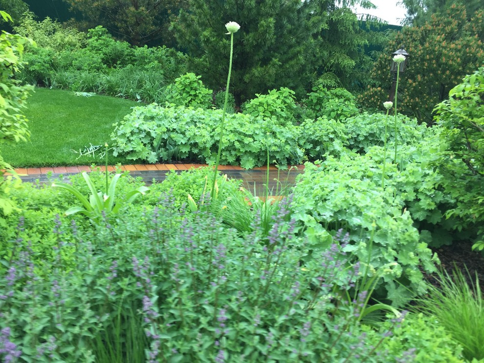 Холодное лето 2017