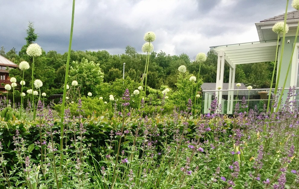 Холодное лето 2017