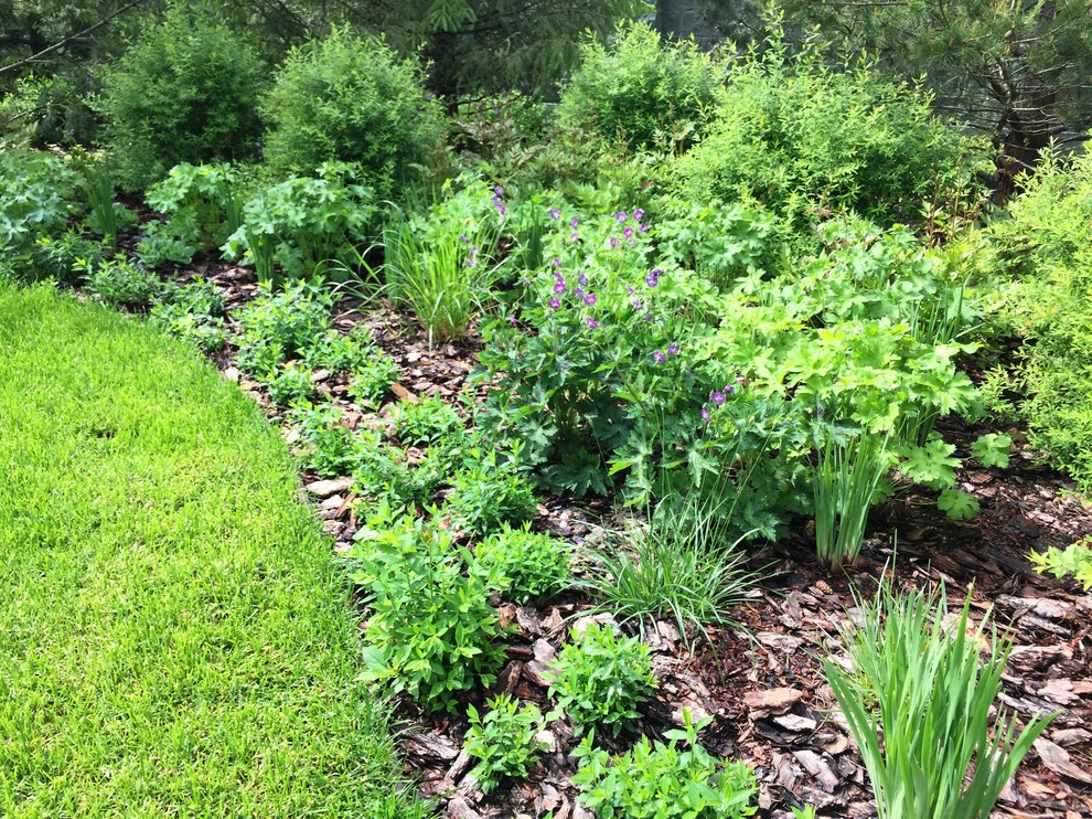 Холодное лето 2017