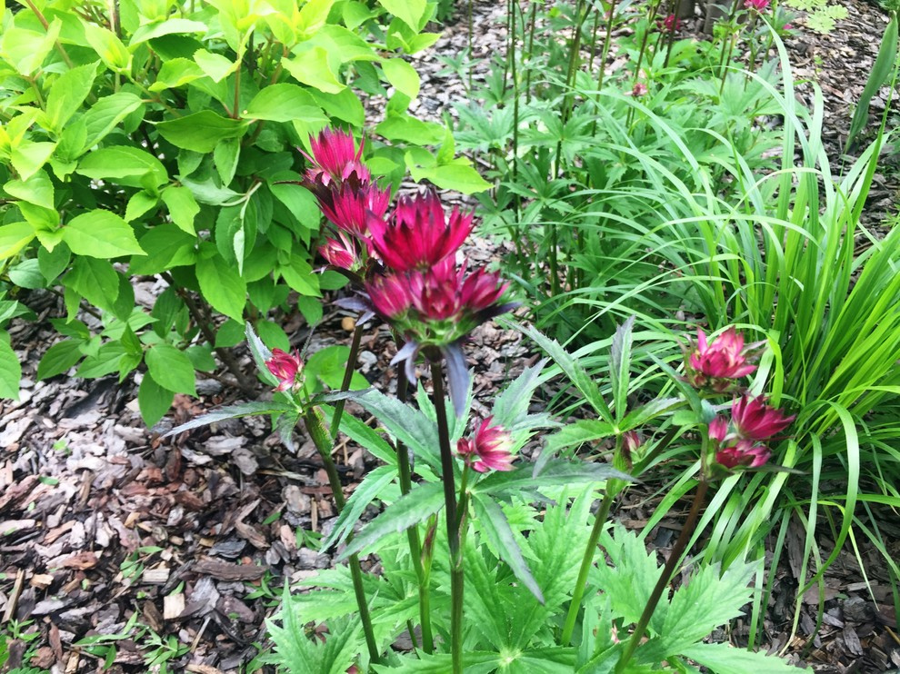 Холодное лето 2017