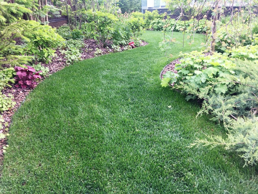 Холодное лето 2017