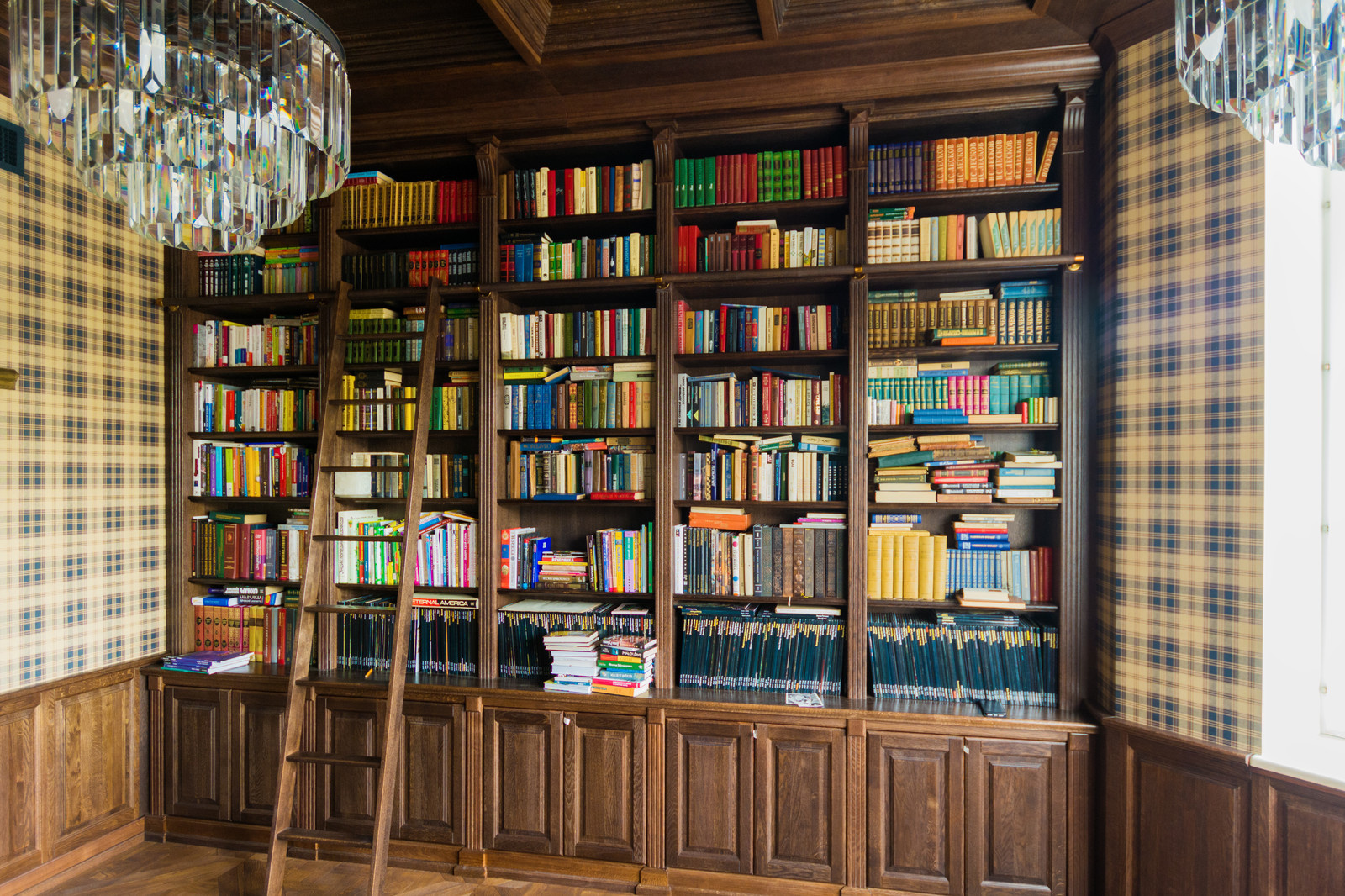 Кабинет с библитоекой и потолком