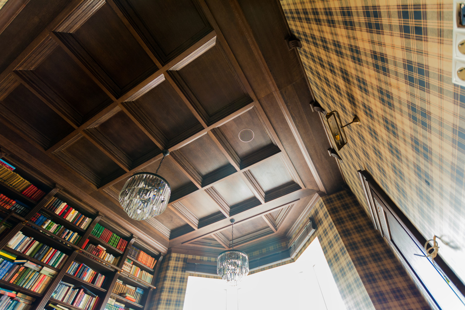 Кабинет с библитоекой и потолком