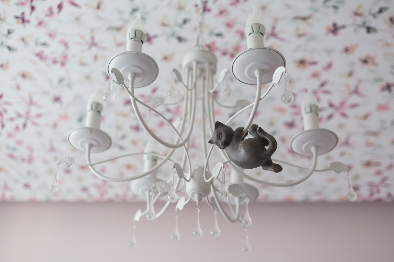 Квартира на Петроградке