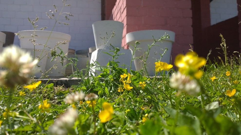 Кашпо из бетона