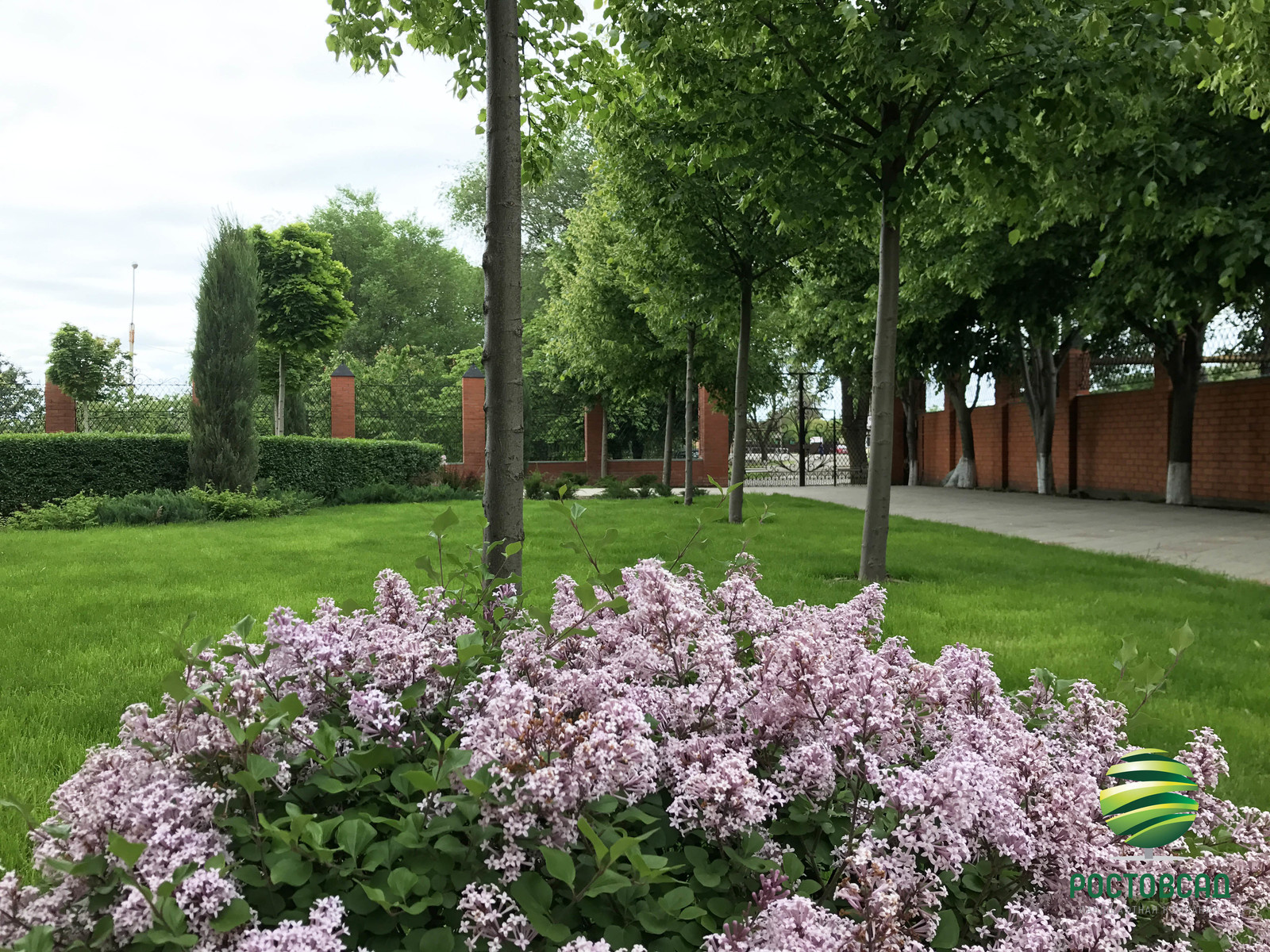 Классический сад