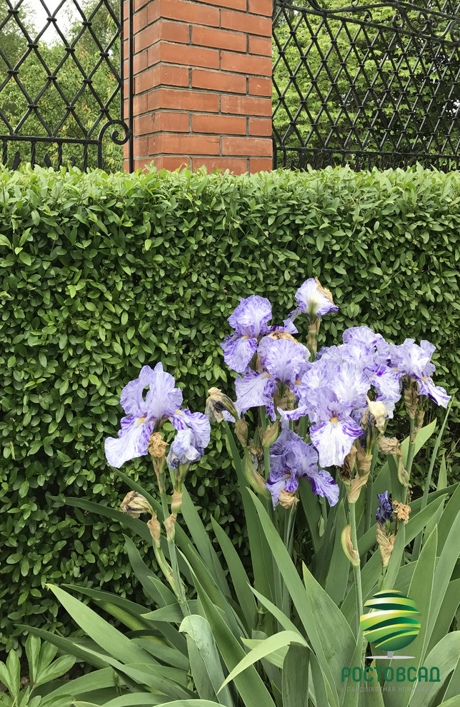 Классический сад