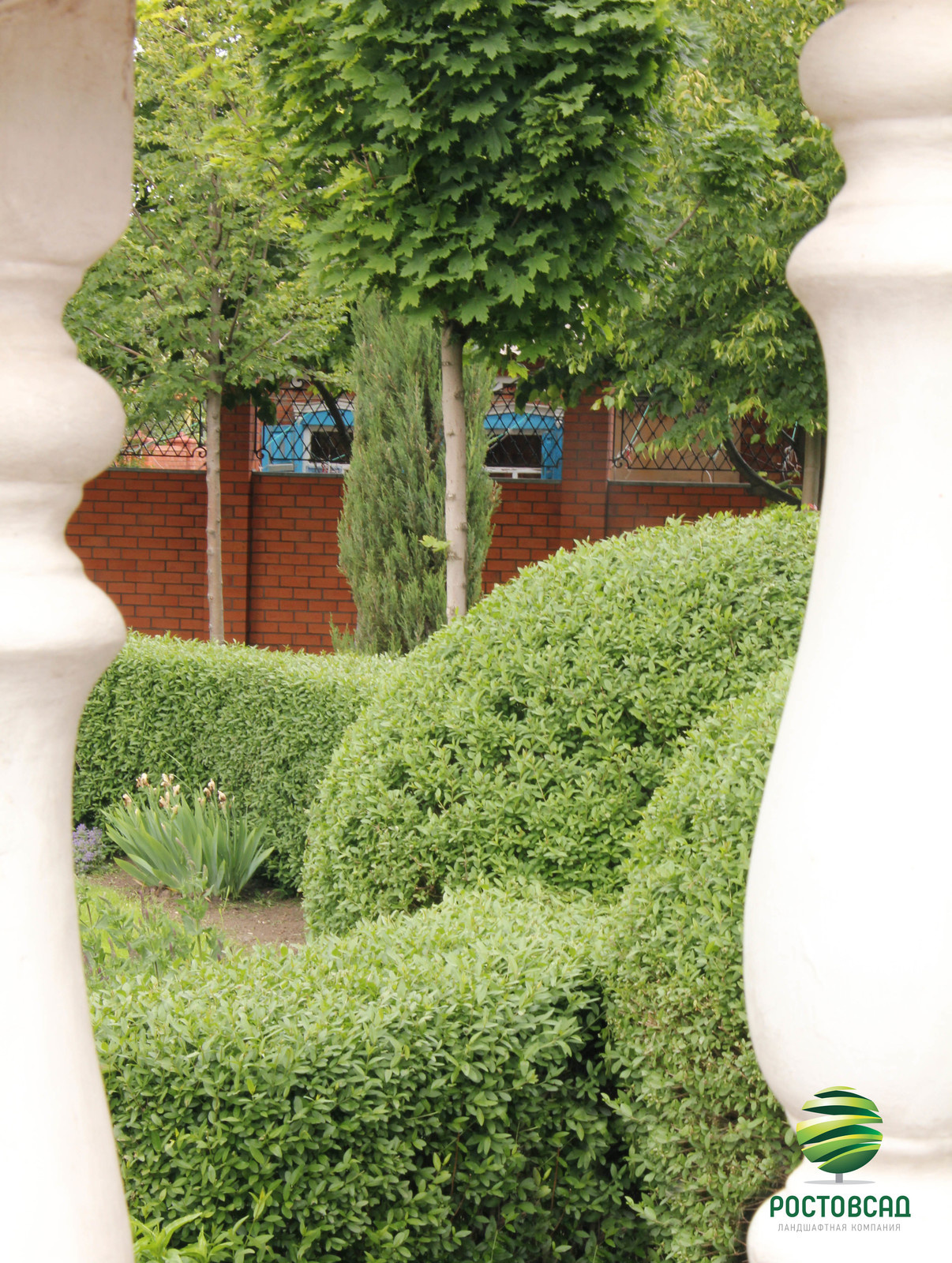 Обложка проекта: Классический сад