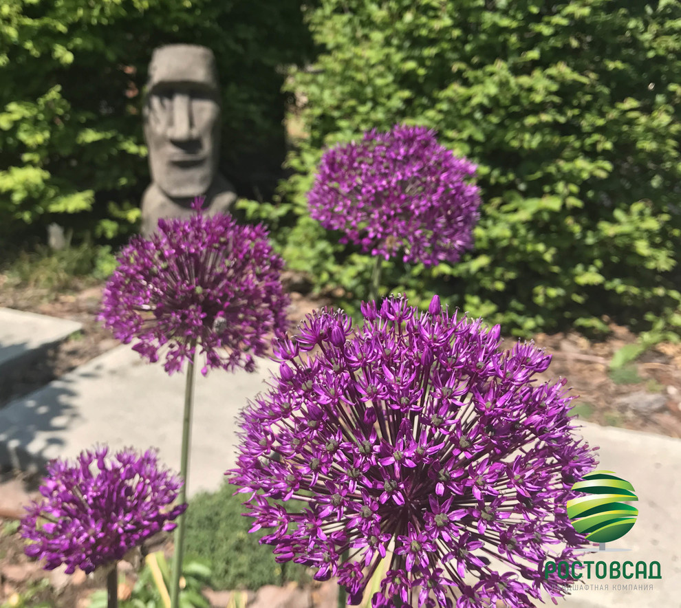 Сад в современном стиле