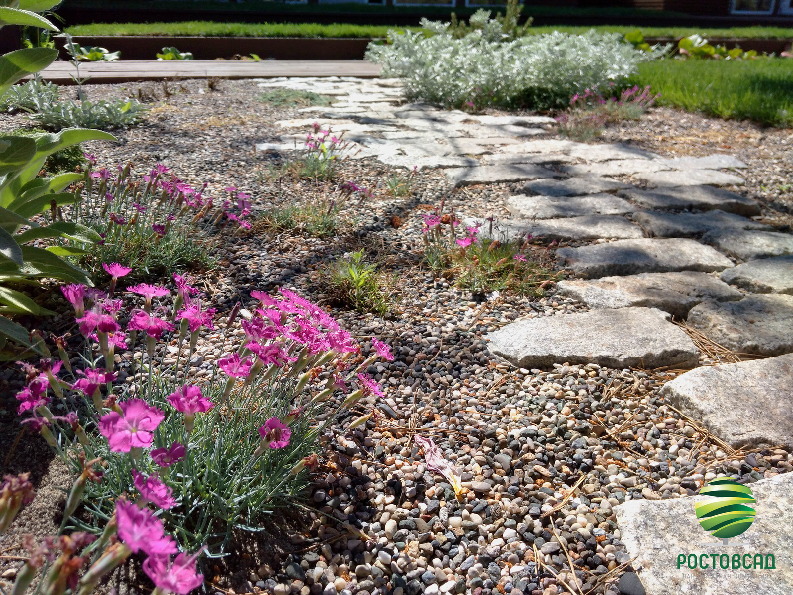 Сад в современном стиле