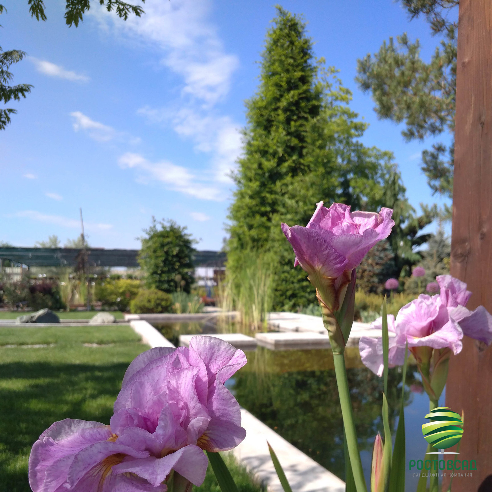 Сад в современном стиле