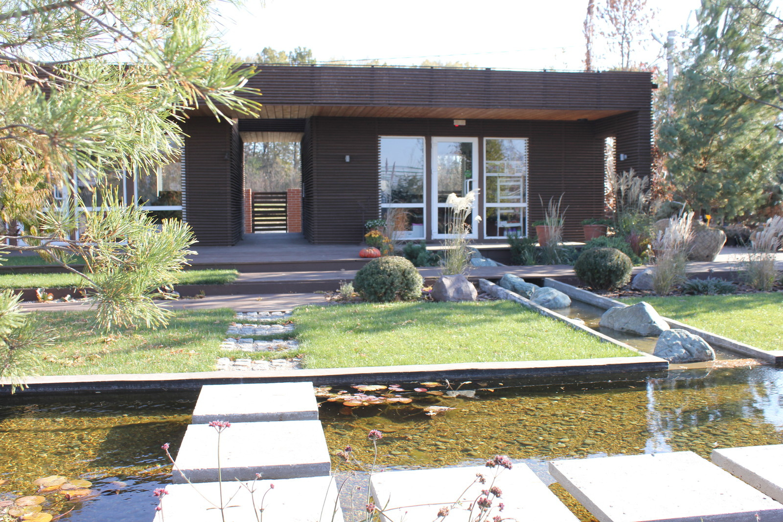 Сад в современном стиле