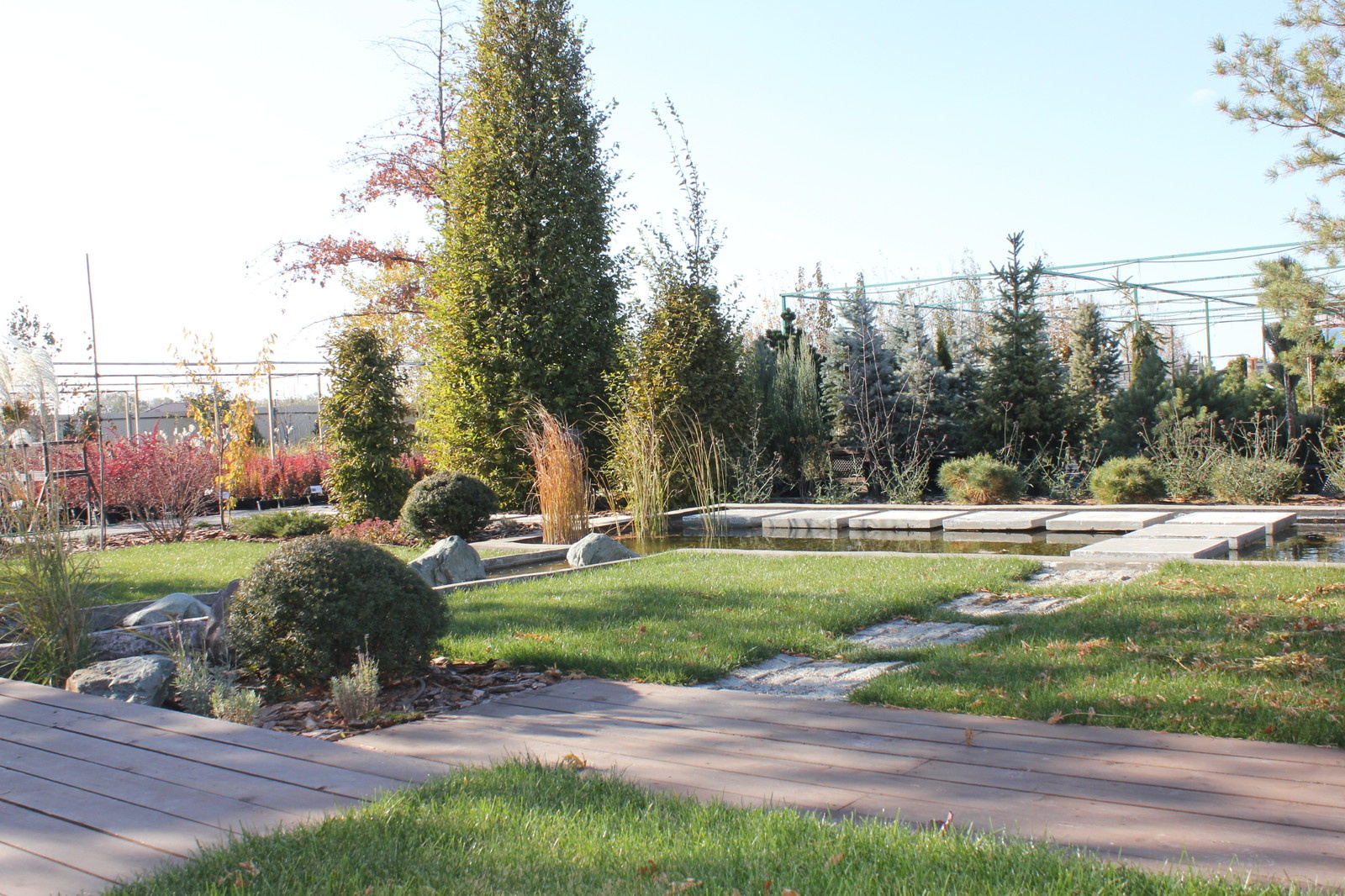 Сад в современном стиле