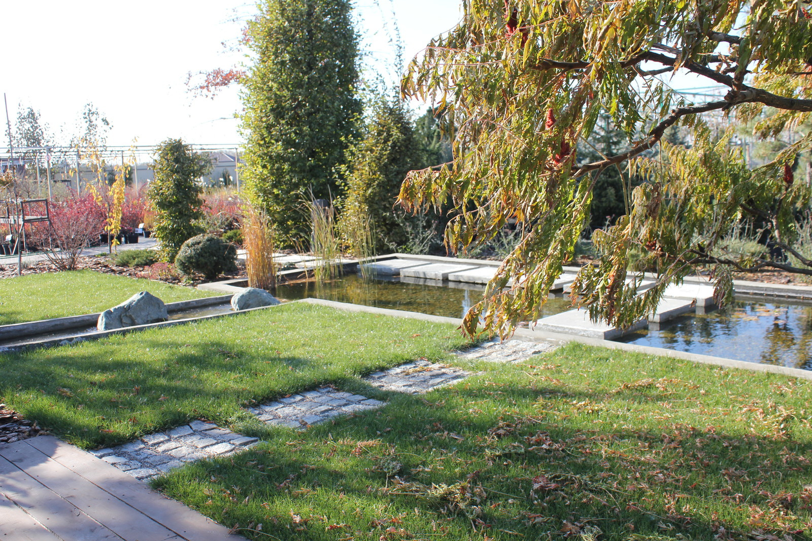 Сад в современном стиле