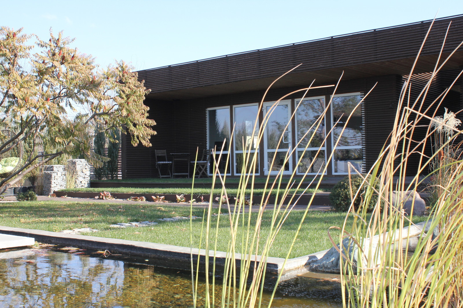 Сад в современном стиле