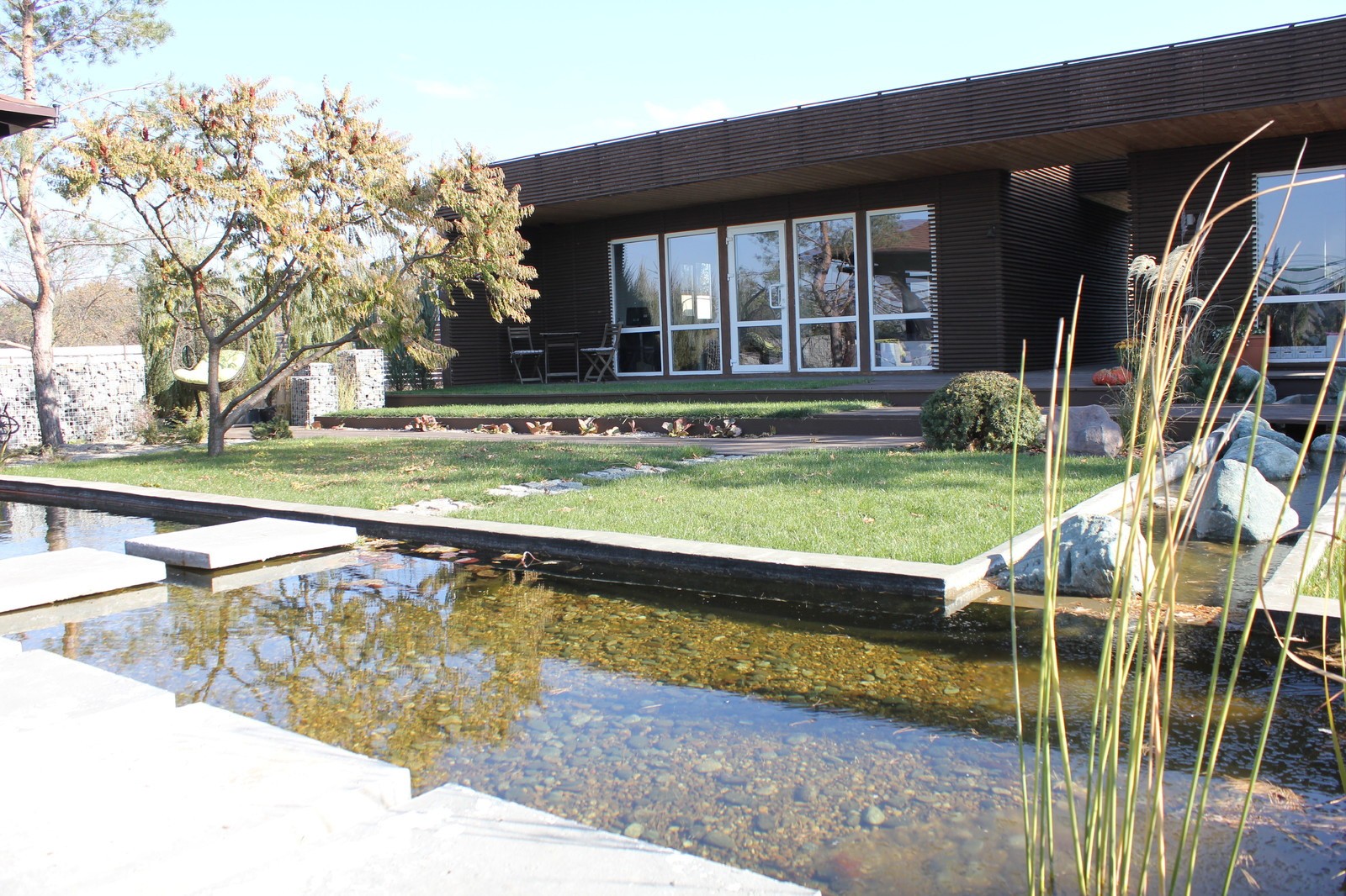 Сад в современном стиле