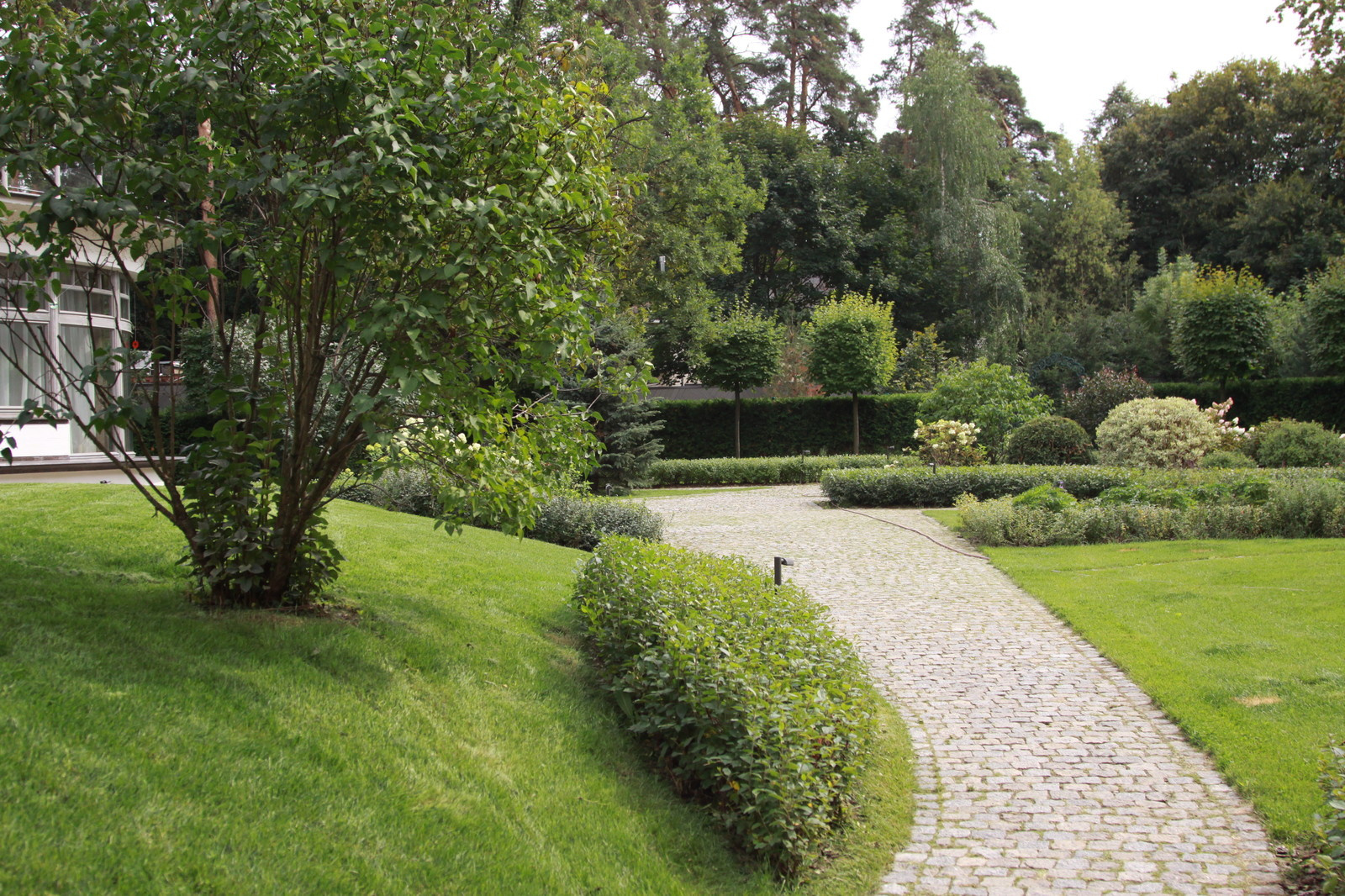 Сад в Серебрянном Бору